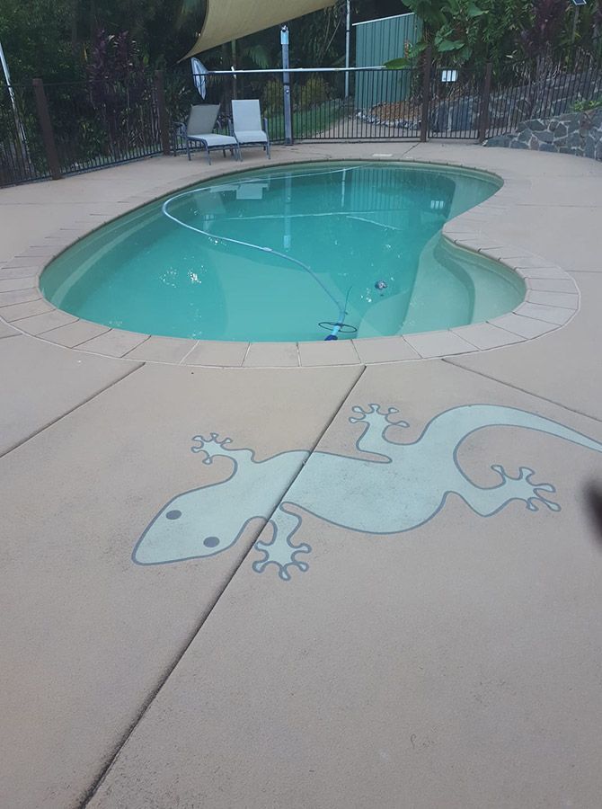 A Swimming Pool With A Lizard Painted On The Side Of It — Landsborough Pool Supplies & Service in Landsborough, QLD