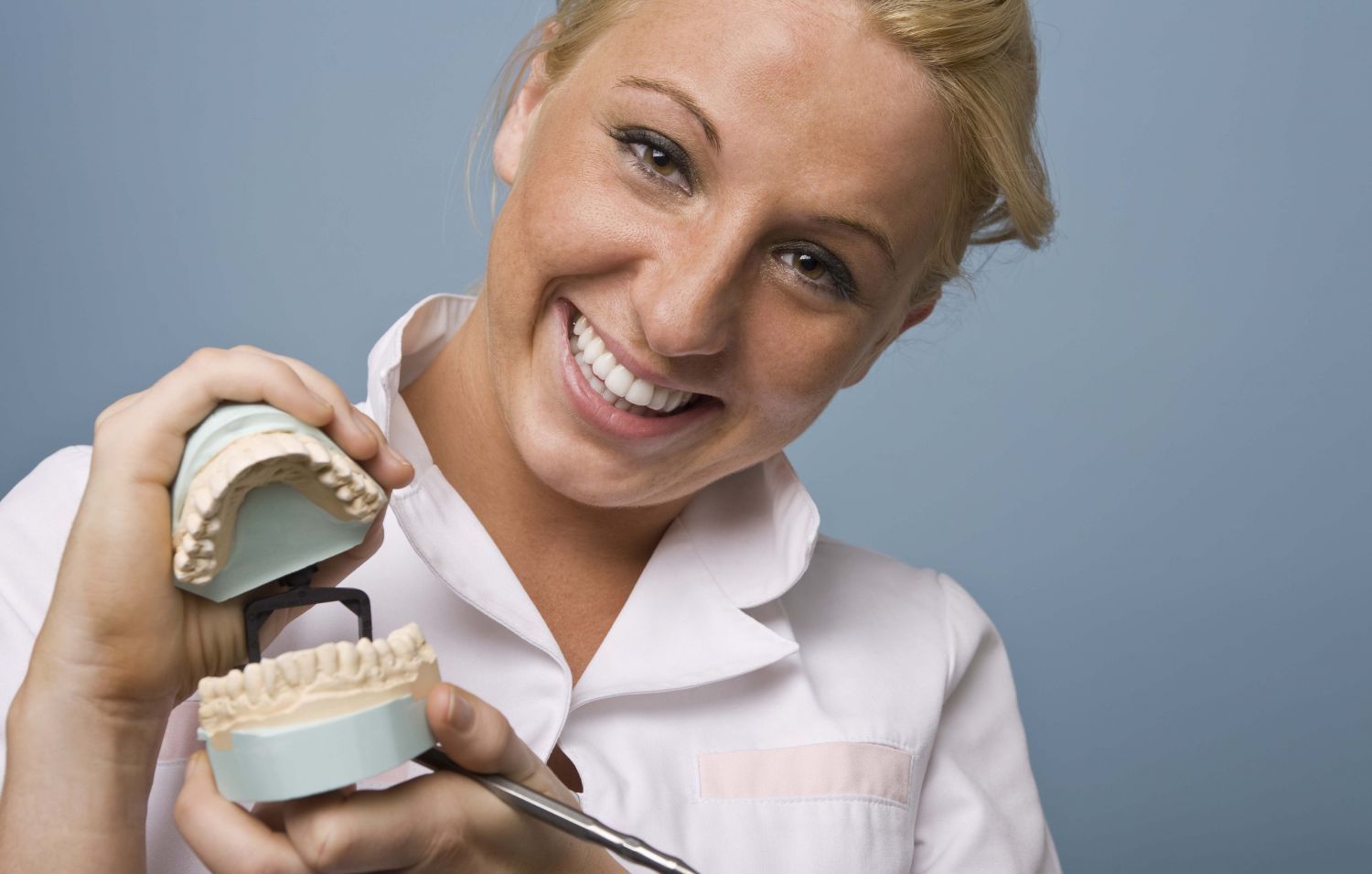 dentist providing dental services in New Plymouth