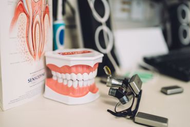 Dentist providing dental services for a child in New Plymouth