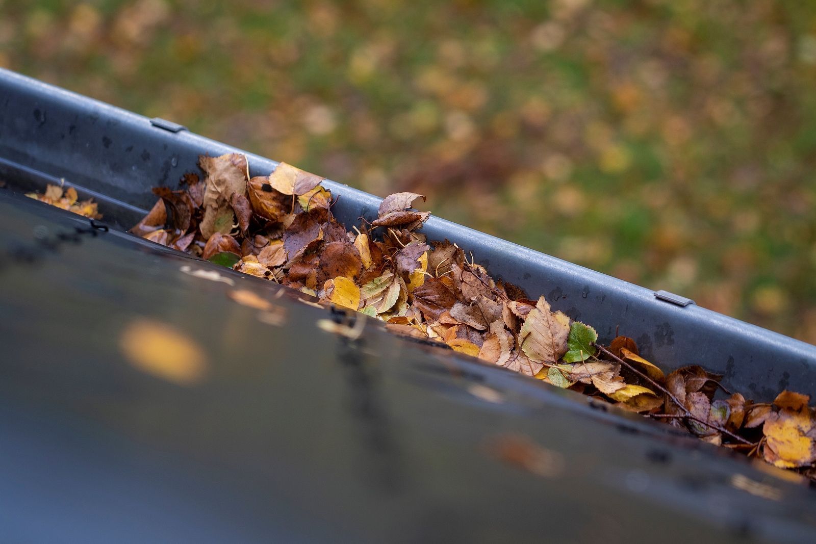 A close up of a gutter filled with leaves.