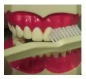 How to Brush Your Teeth