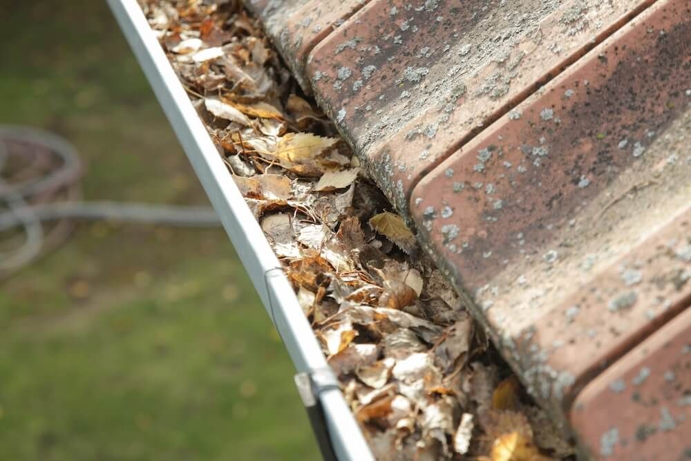 A gutter filled with leaves on a brick roof — Exquisite Exterior Cleaning In Gosford, NSW