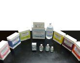 Repremedh - Venta de Medicamentos genéricos