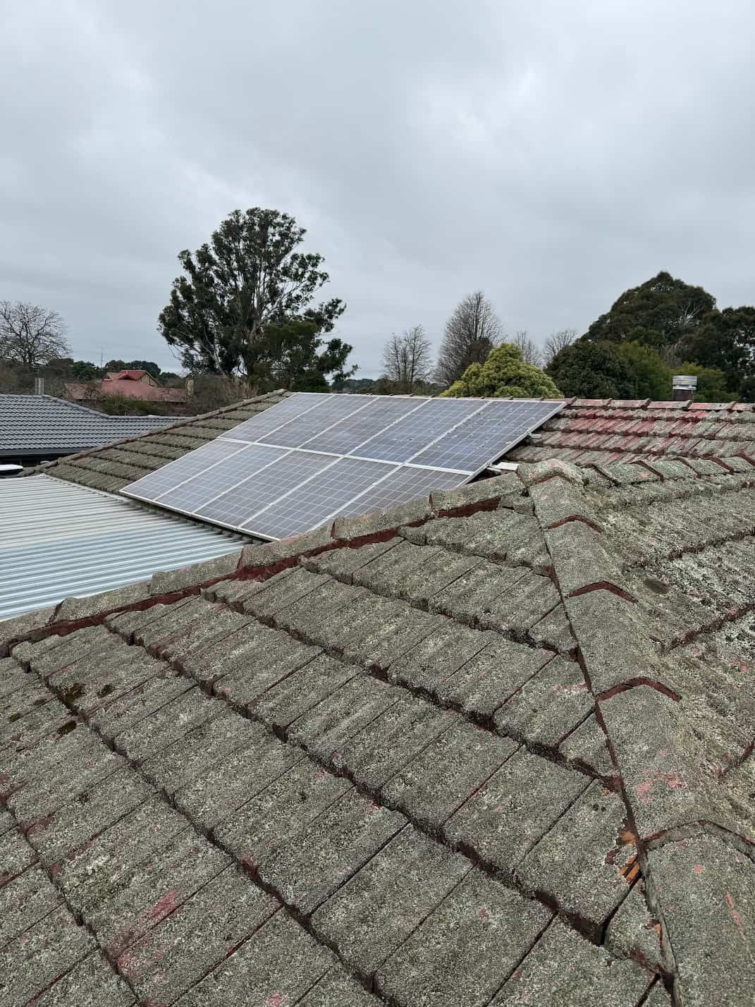A roof covered by dirt and lichen