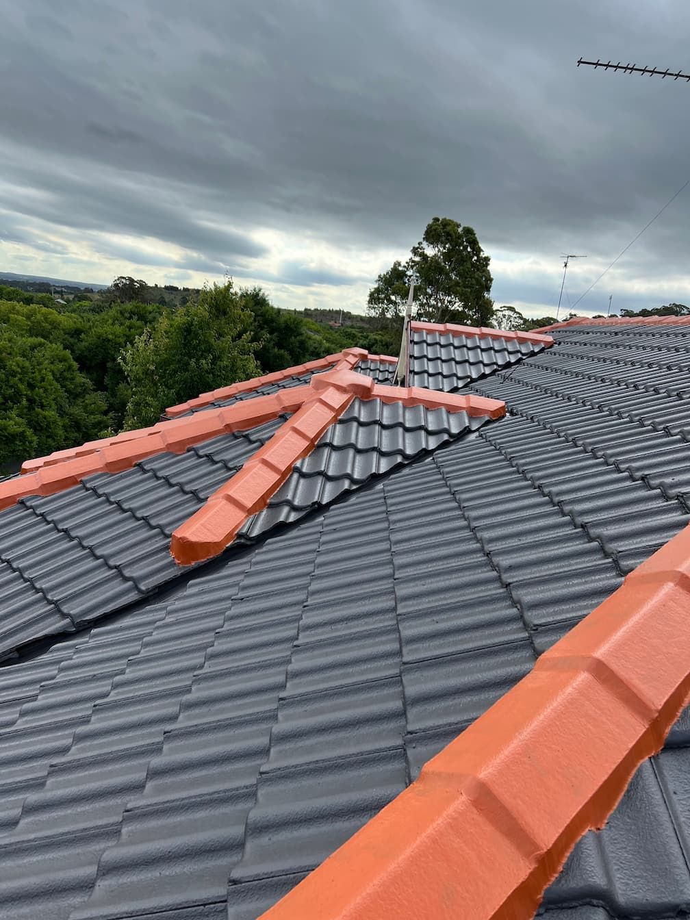A restored roof