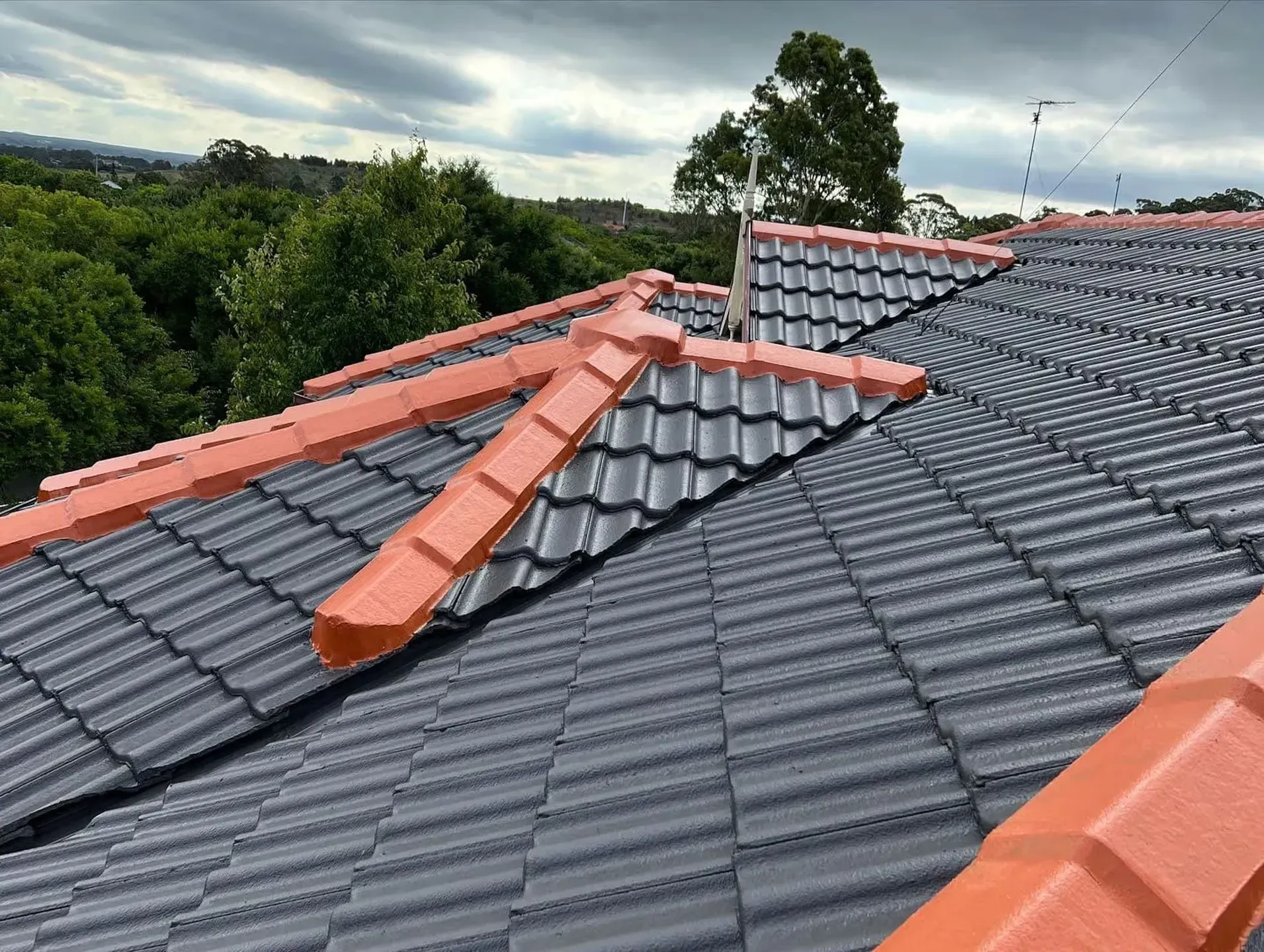 A roof with a lot of tiles and trees in the background
