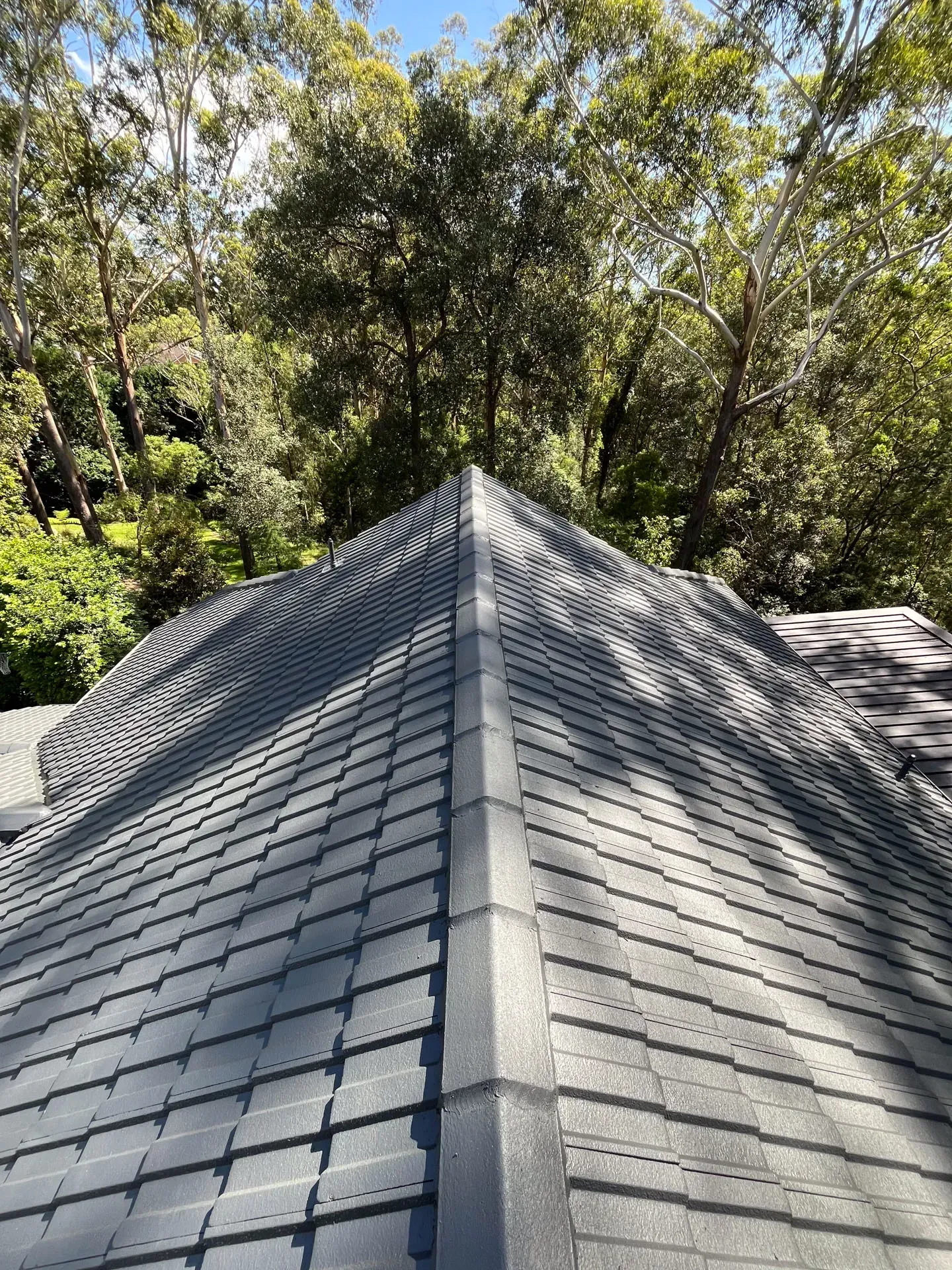 A repaired roof in Sydney
