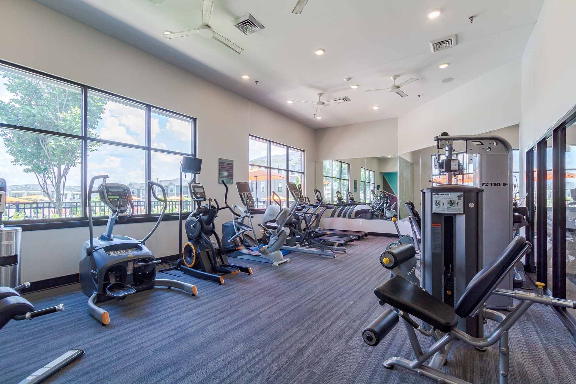 Gym with various exercise machines, large windows, and a mirrored wall. Blue carpet.