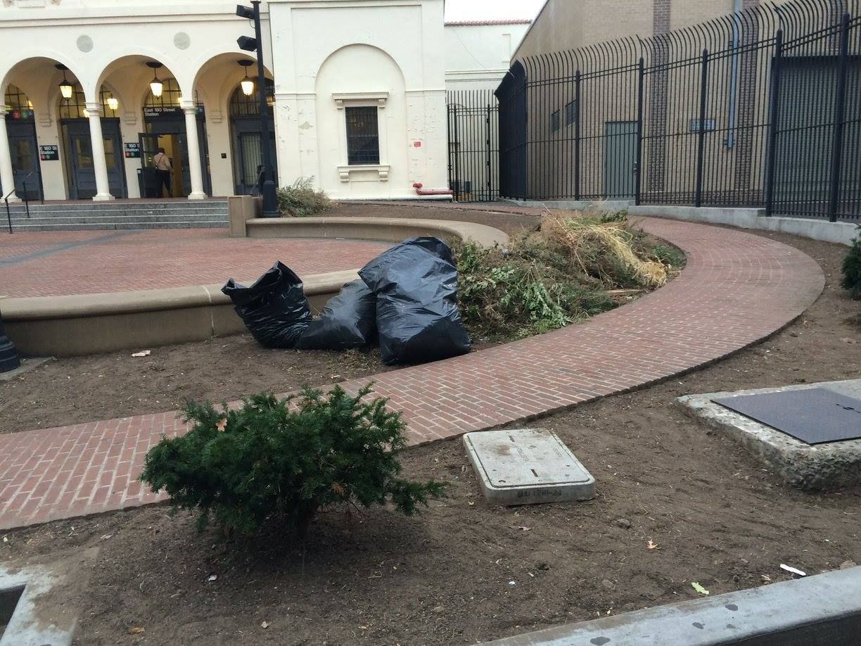 A brick pathway curves through a newly planted garden bed, with black trash bags and a building in the background.