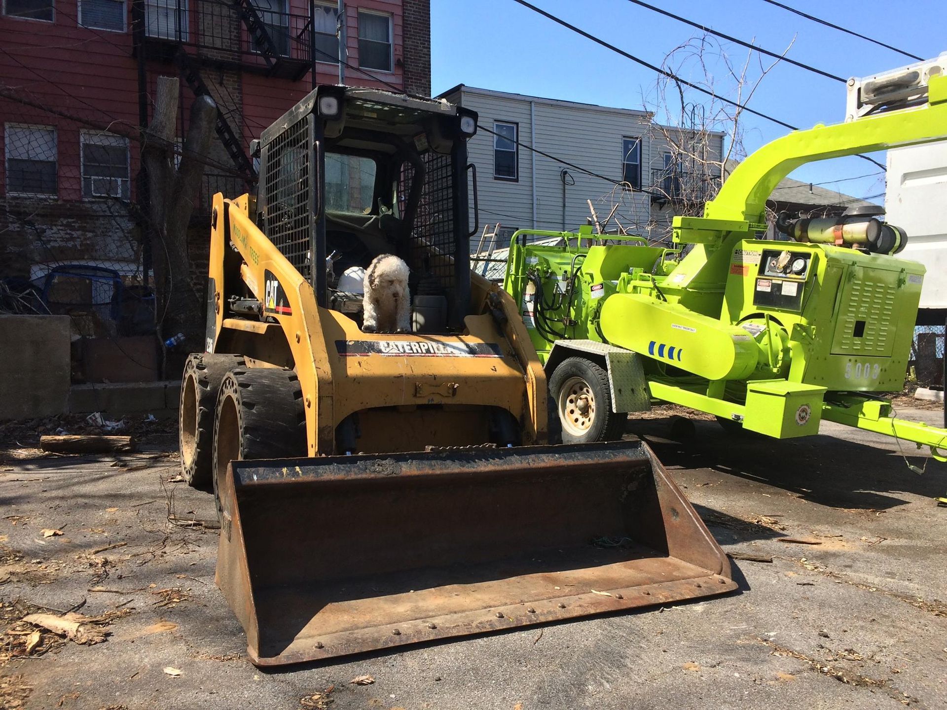 Yellow skid steer loader and green wood chipper in an urban setting, likely for construction or tree work.