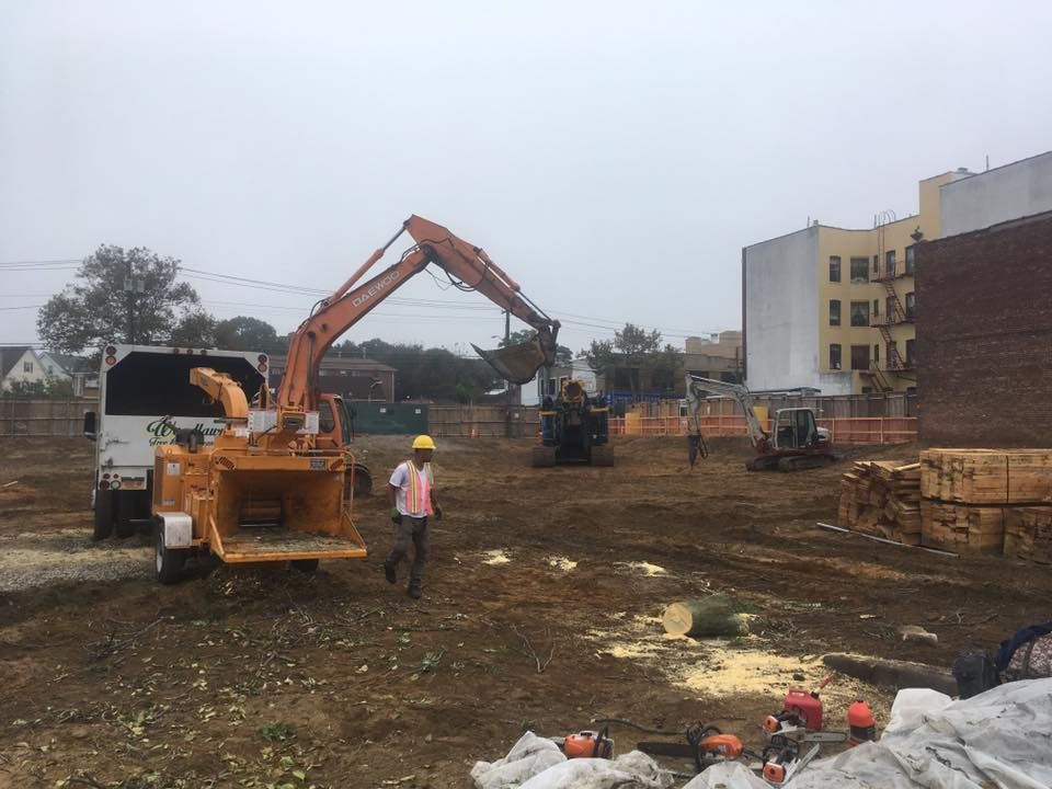 Construction site: excavator lifting tree limbs into a wood chipper, worker nearby, and building in the background.