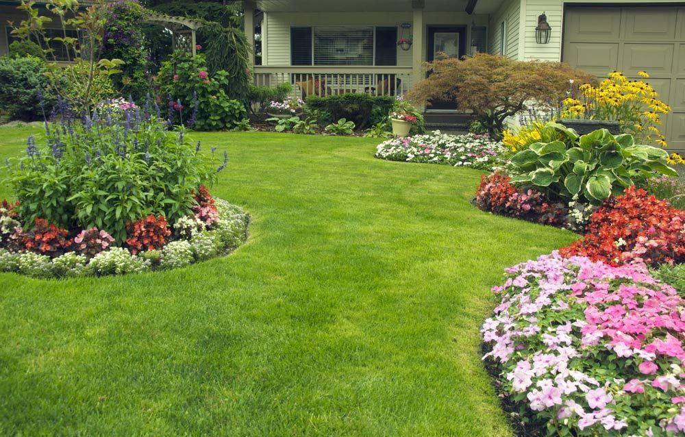 A Lush Green Lawn with Flowers in Front of A House — Hayman Acres Garden Services In Moana, SA
