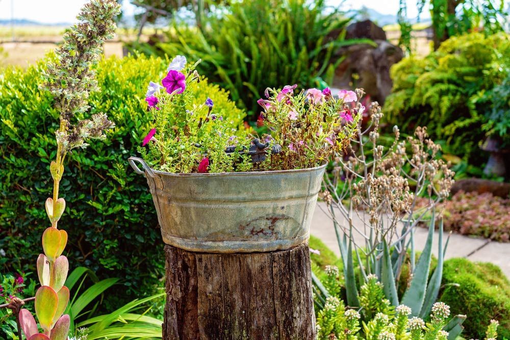 A Bucket Filled with Flowers Is Sitting on Top of A Tree Stump in A Garden — Hayman Acres Garden Services In Echuca, VIC