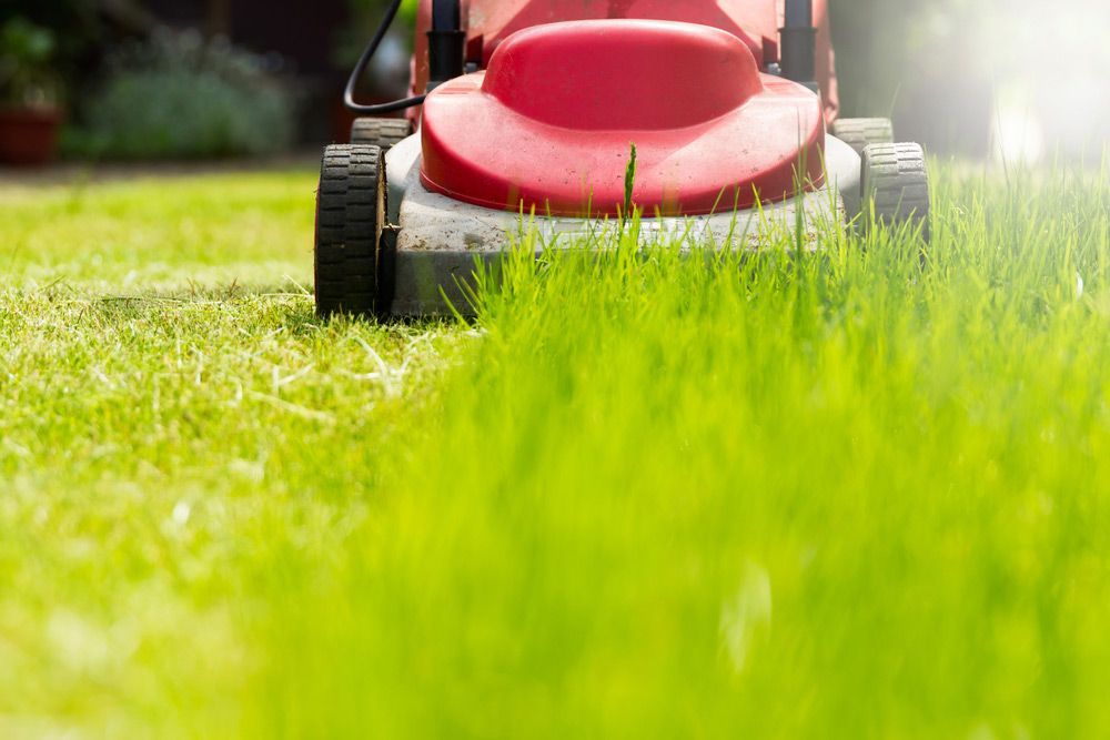 A Red Lawn Mower Is Cutting a Lush Green Lawn — Hayman Acres Garden Services In Rochester, VIC