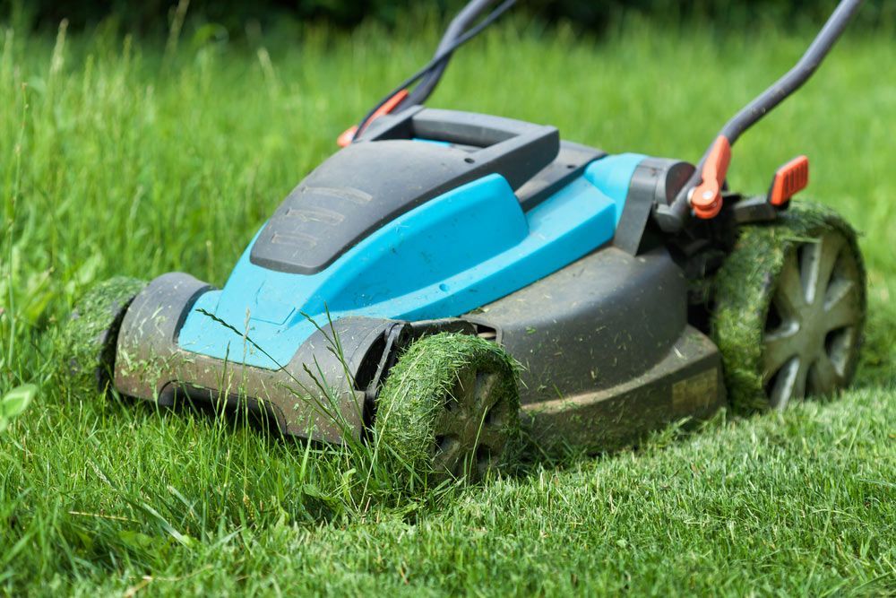 A Blue and Black Lawn Mower Is Cutting a Lush Green Lawn — Hayman Acres Garden Services In Rochester, VIC