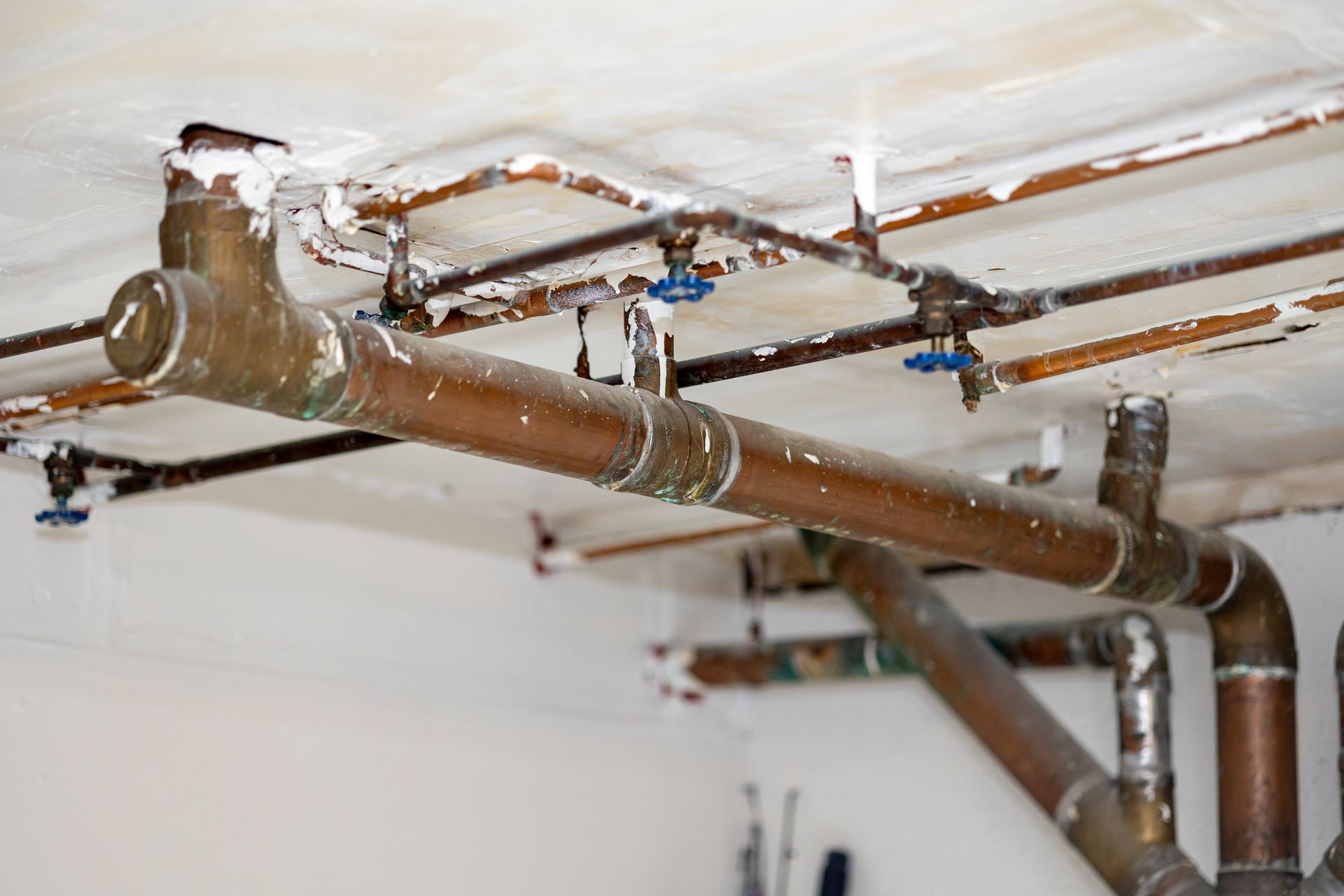 Copper pipes and valves on a ceiling, with a white background.