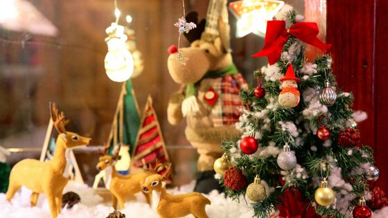 Christmas display with a decorated tree, reindeer figurines, and festive lights and ornaments