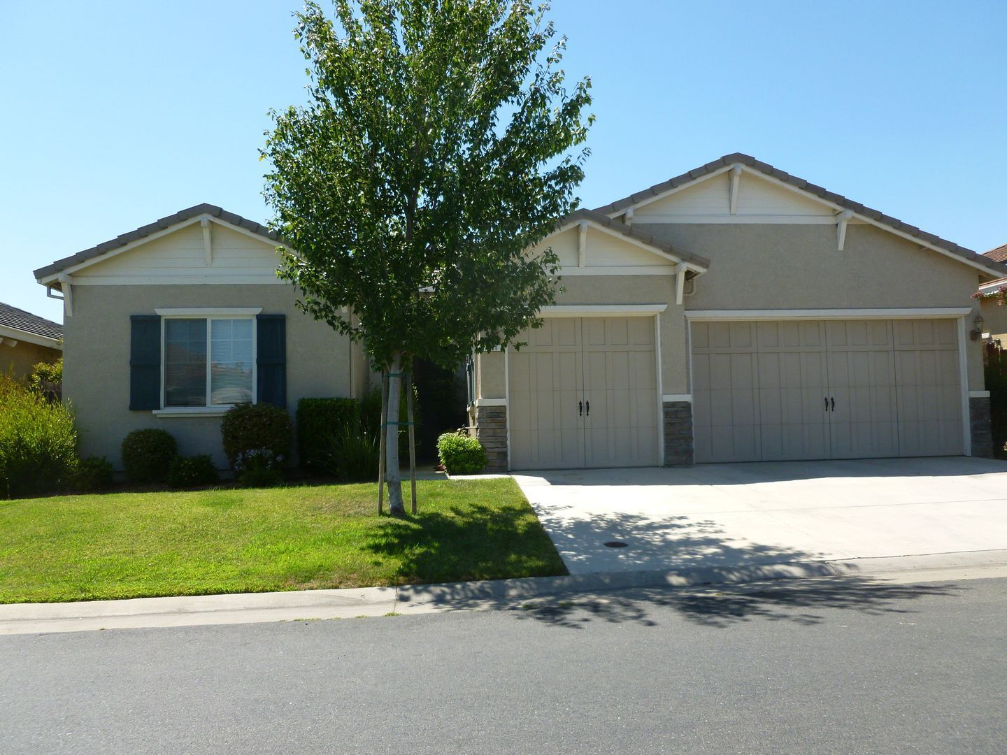 A house with a palm tree in front of it