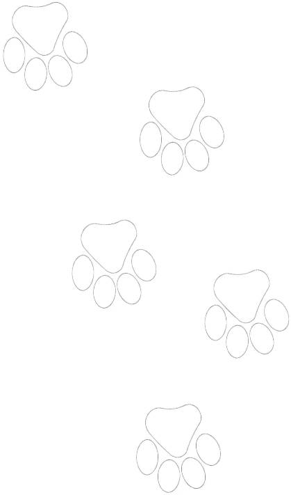 A set of paw prints on a white background.