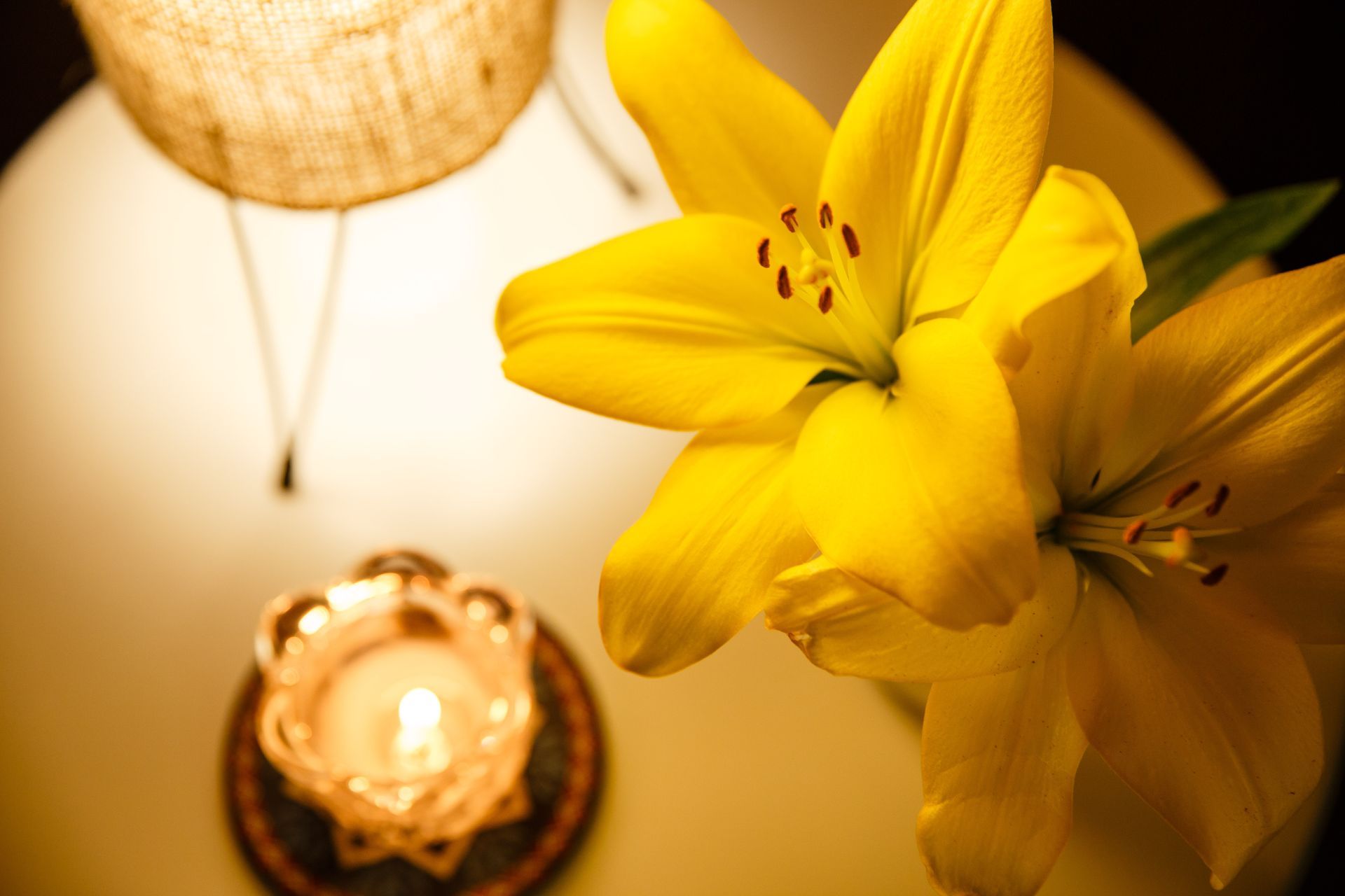 Detalhes do altar com ervas e elementos ancestrais