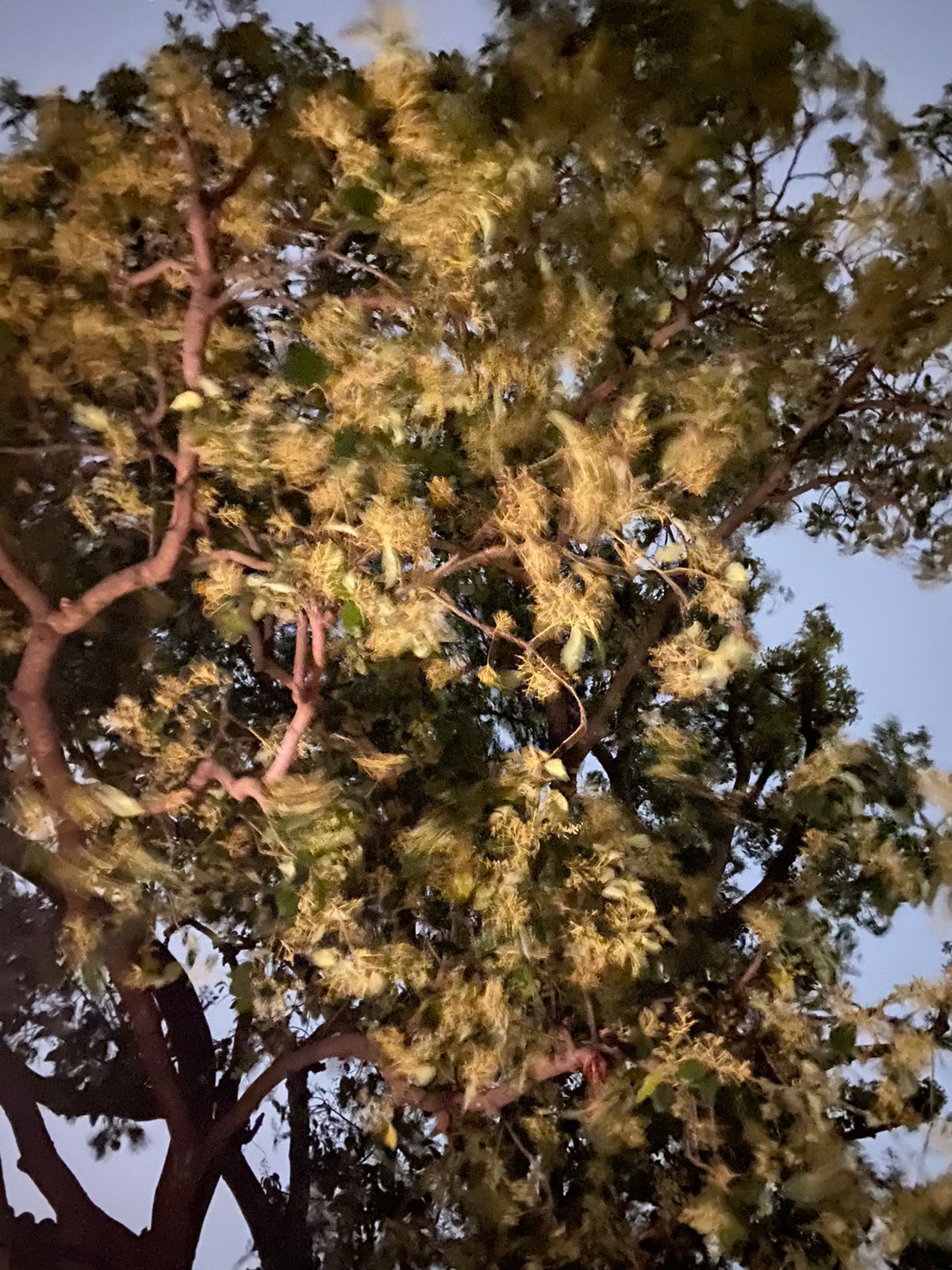 Ambiente acolhedor da Casa Pulsar