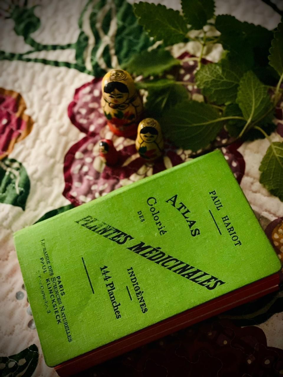 Círculo de mulheres em roda de conversa na Casa Pulsar