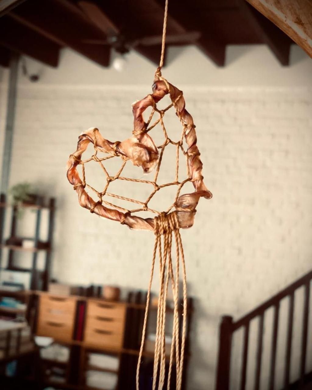 Ambiente acolhedor da Casa Pulsar