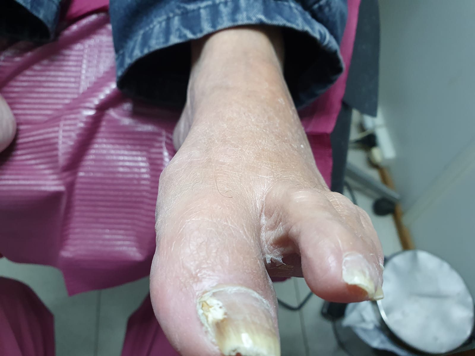 Silvia Verónica Quintero, Podóloga en Mar del Plata