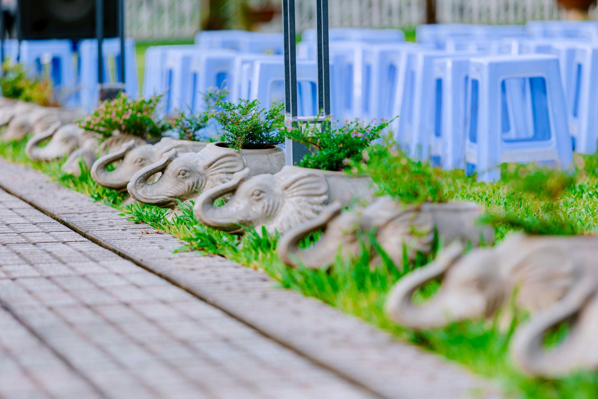 Row of elephant-shaped planters with greenery along a walkway, blue chairs in the background.