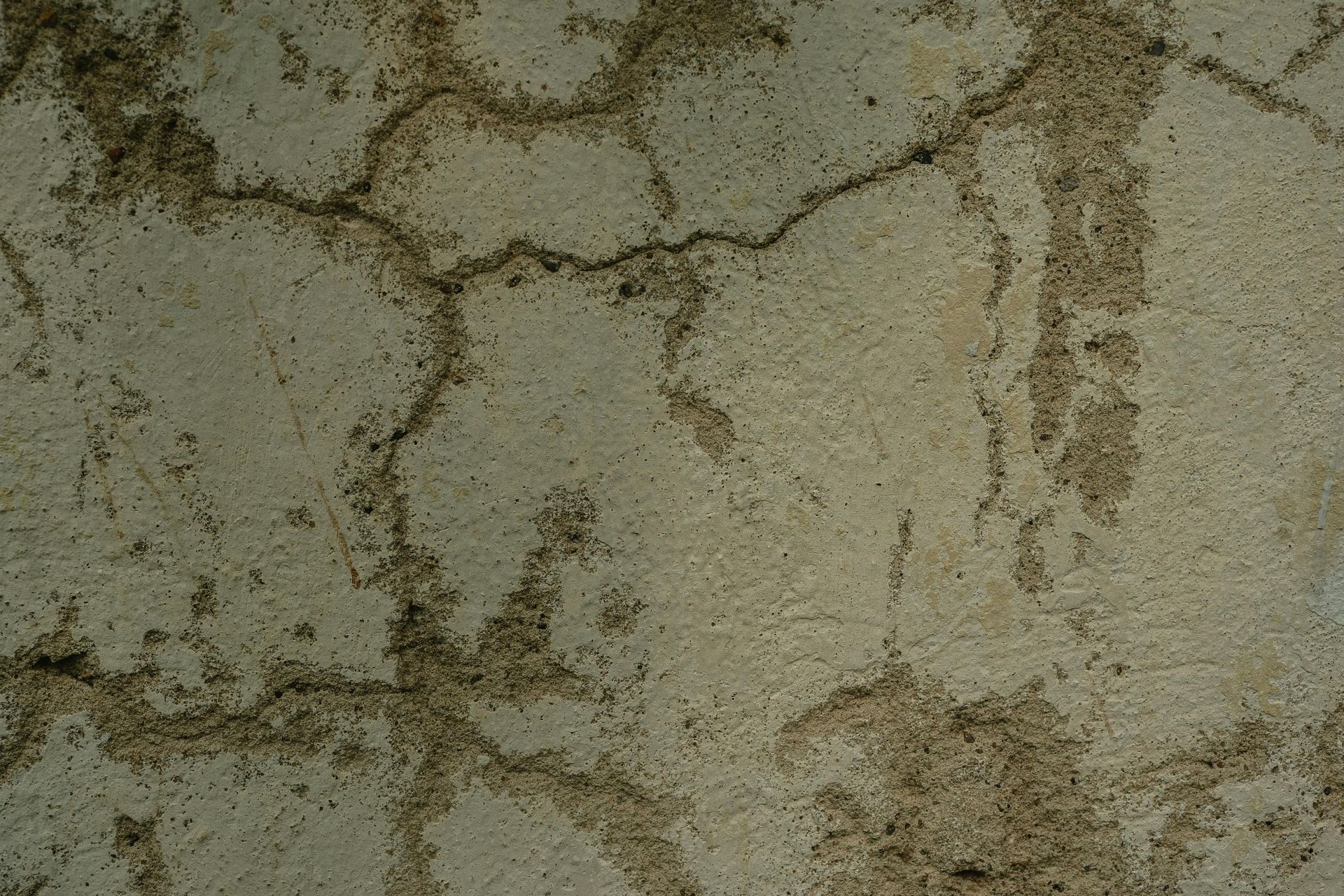 Cracked, tan concrete wall with dark staining.