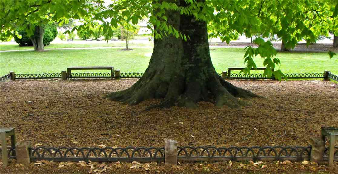 tree fencing - landscape architecture in Tri-Cities VA & TN, Virginia & West Virginia