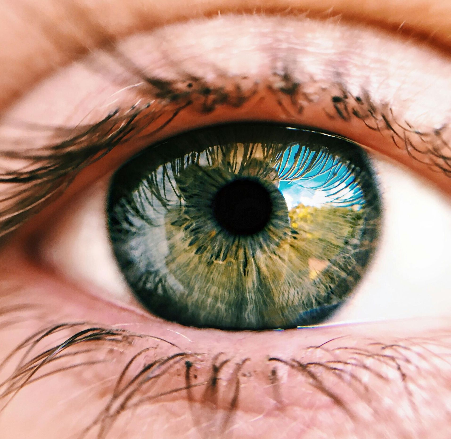 A close up of a person 's green eye with long eyelashes.