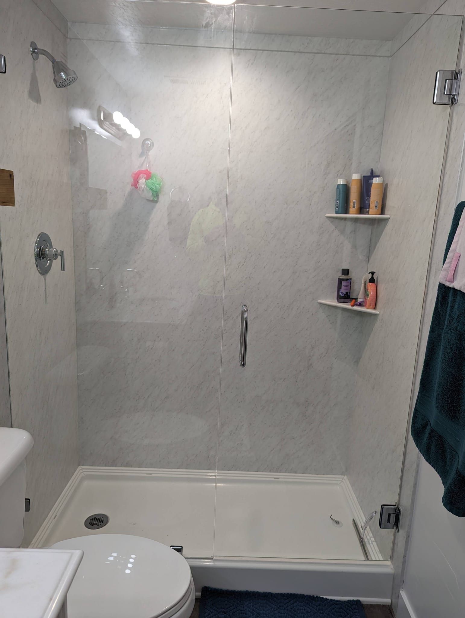 A bathroom with a walk in shower , toilet and sink.