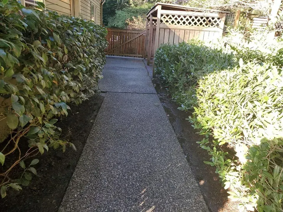 Expert pressure washing in Bellingham, WA.
