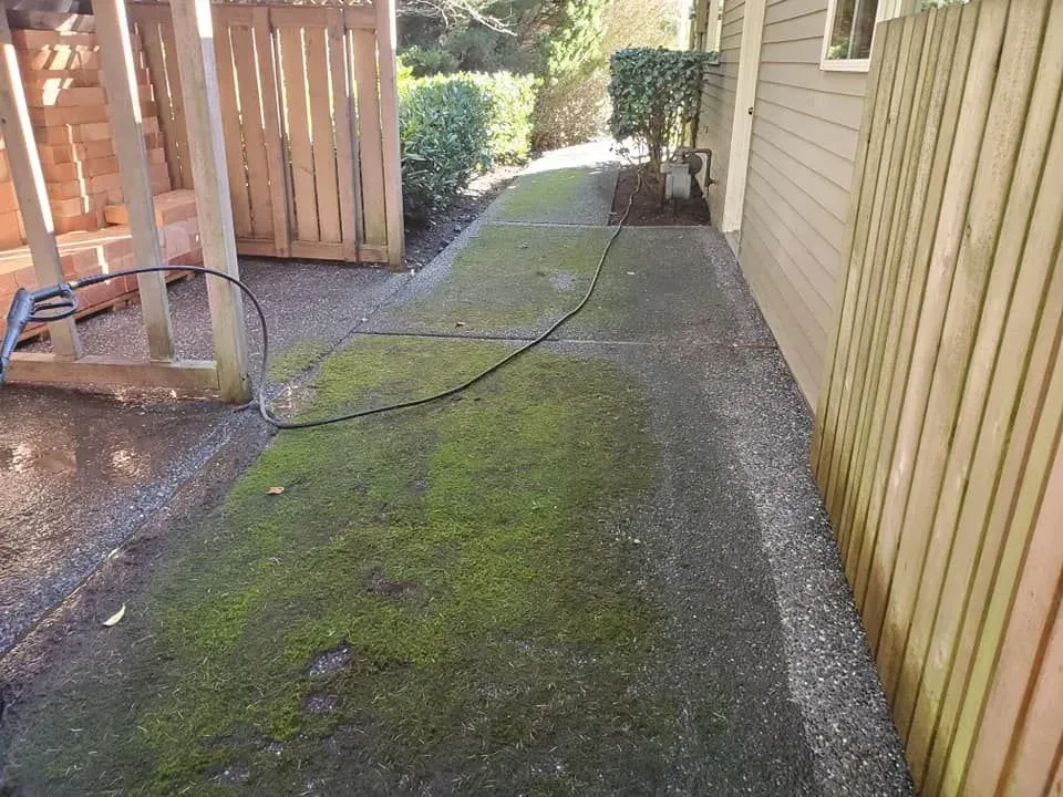 Pressure washing service in Bellingham