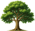 A large tree with green leaves above the words 