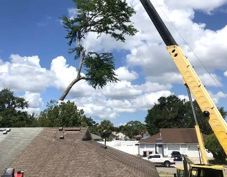 Crane lifting a large tree over a house with a brown roof on a sunny day.