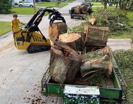 A yellow mini-skid steer loads tree logs into a green trailer on a paved road, with a person operating it.