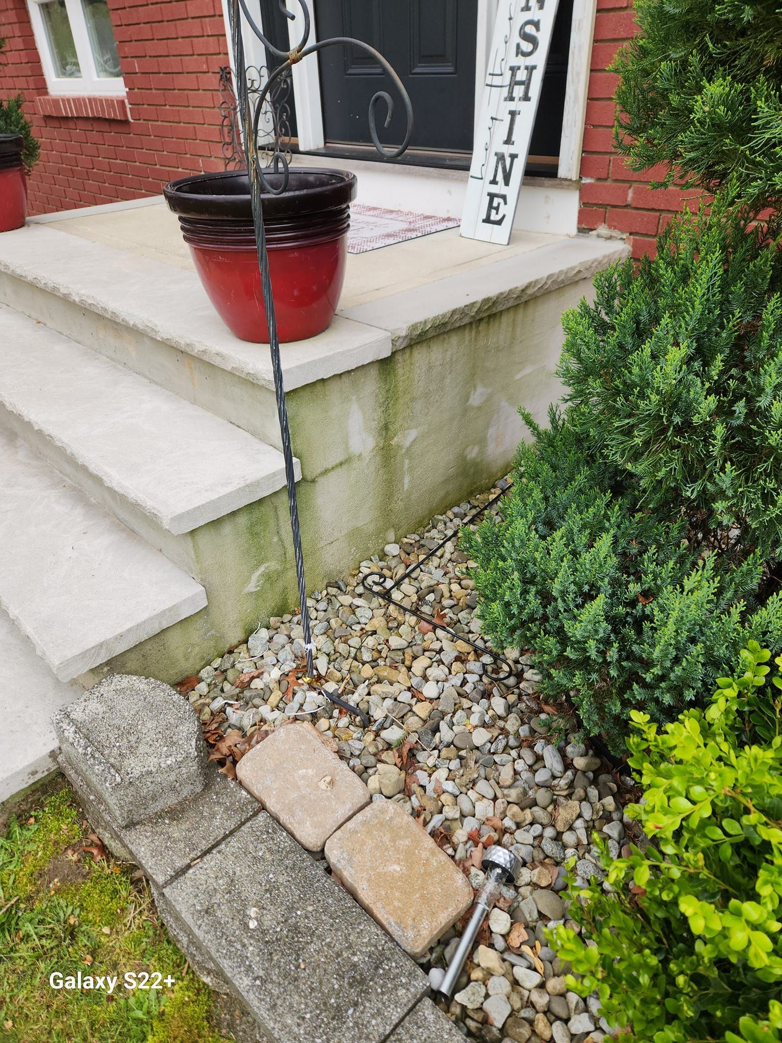 A potted plant is sitting on the steps of a house.