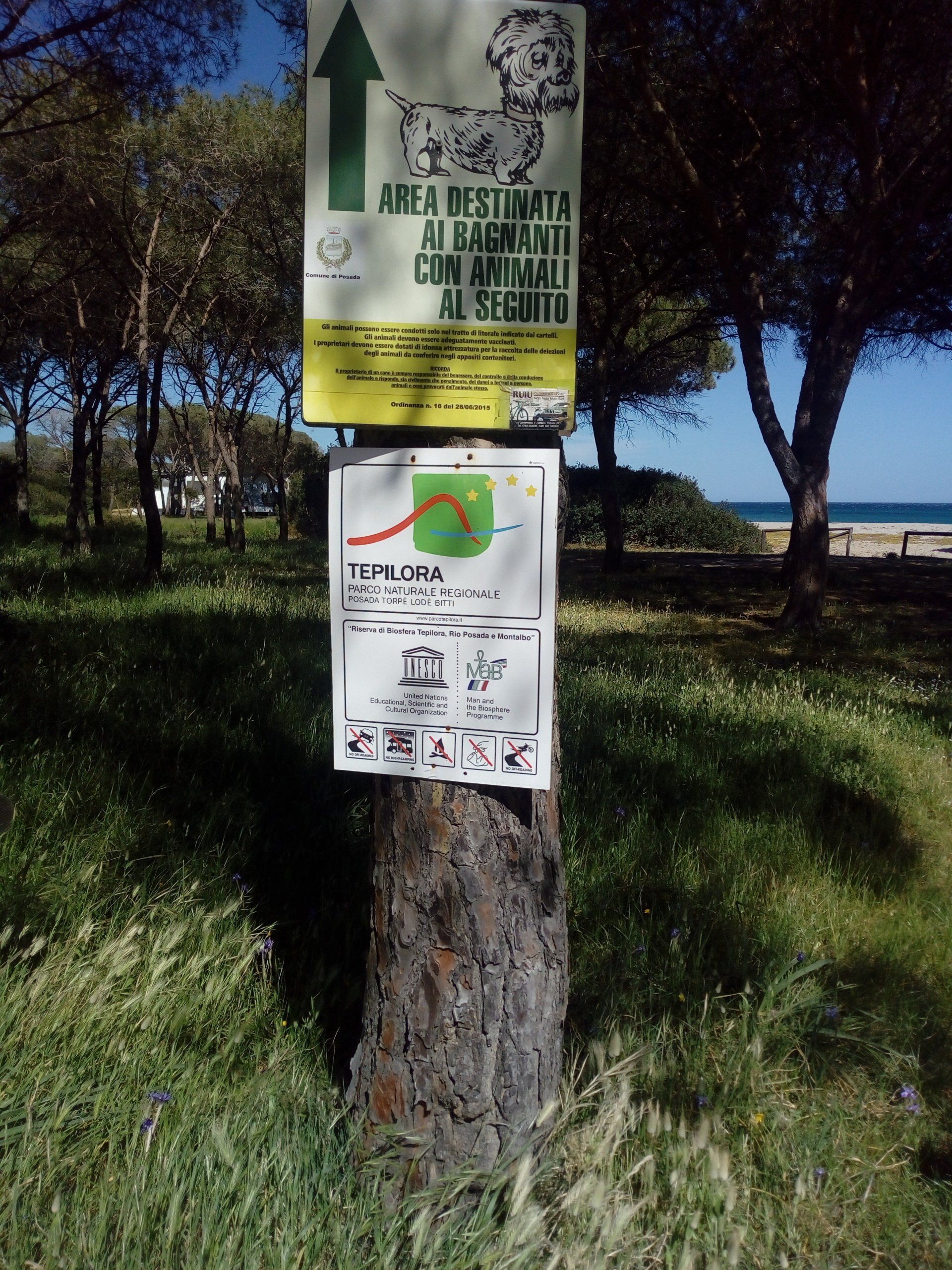 porca naturale regionale di Tepilora