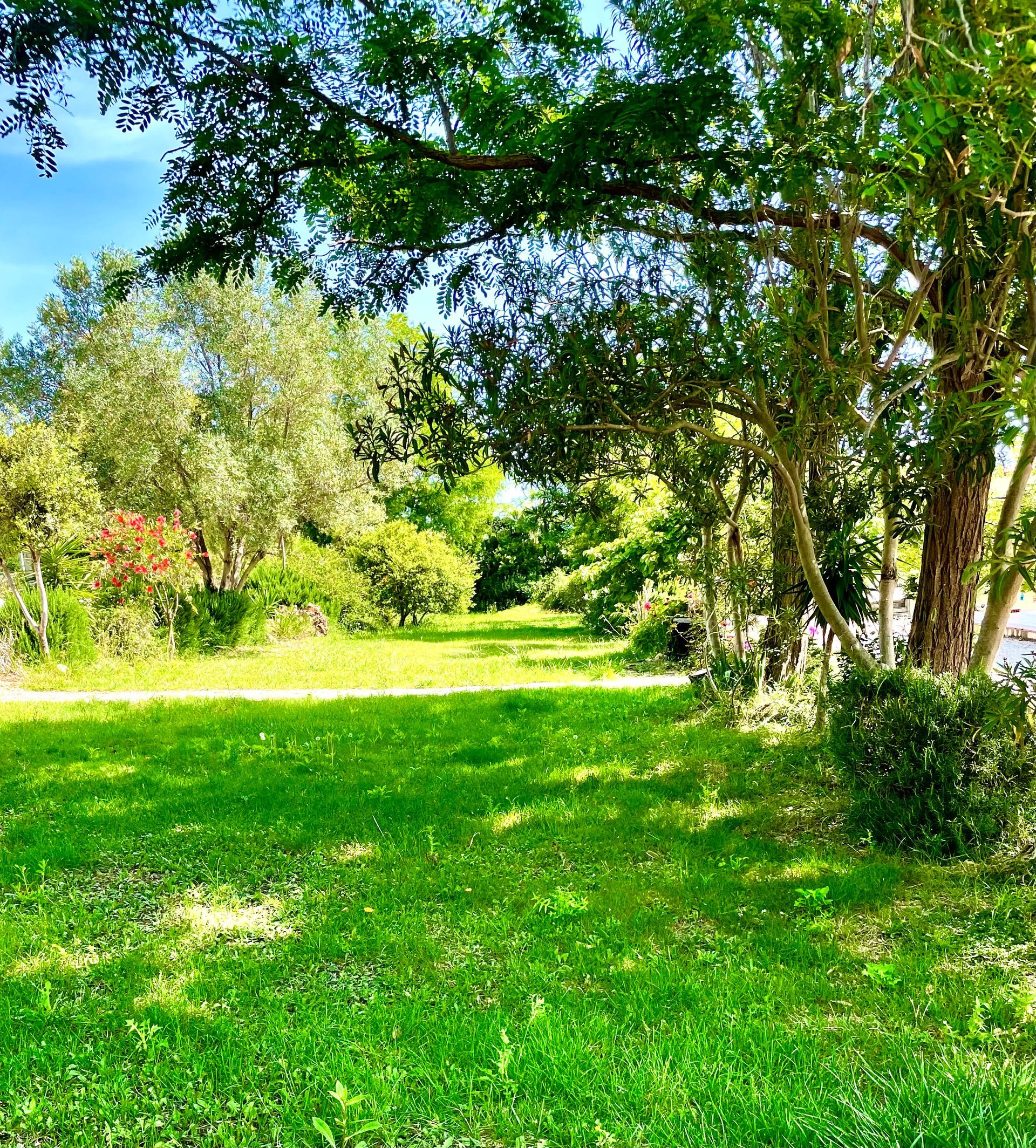 view of the hotel garden