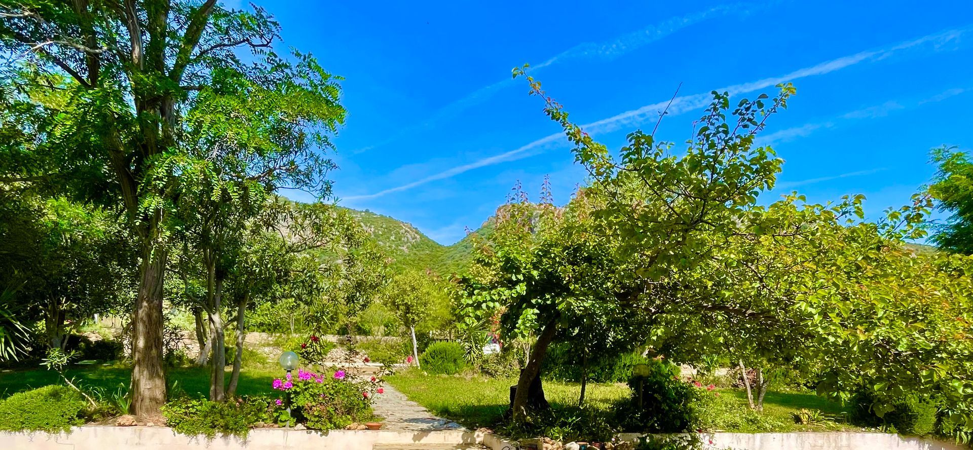 giardino di un albergo