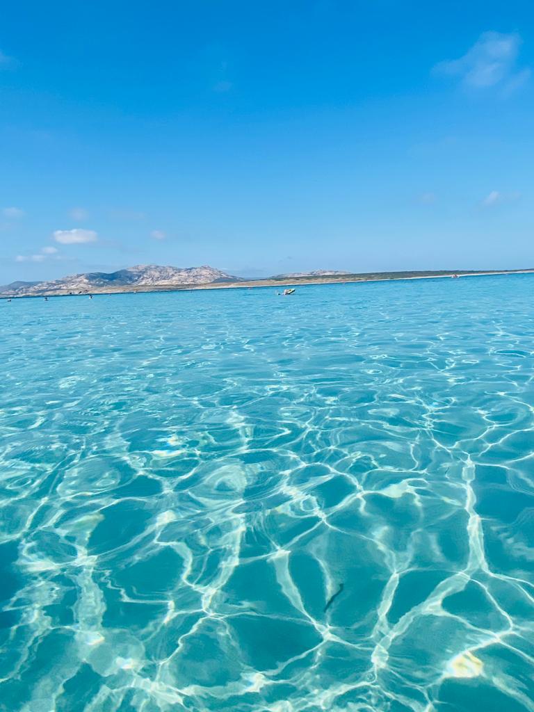 SINISCOLA E DINTORNI