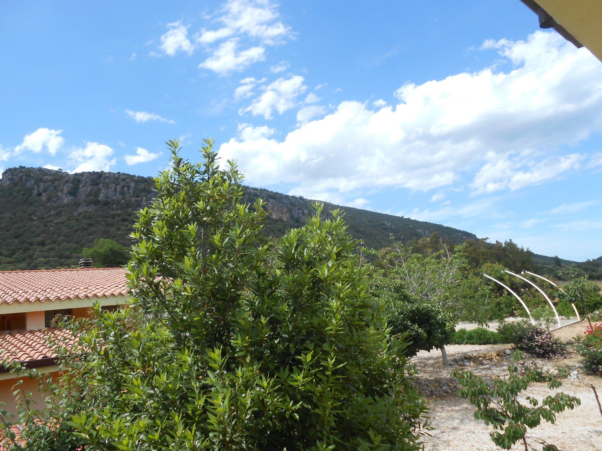 zona montana siniscola