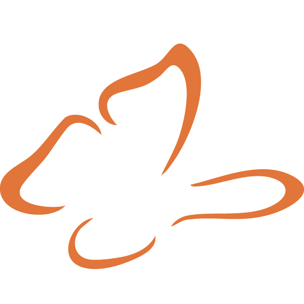 A drawing of a butterfly on a white background