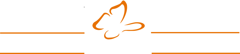 A drawing of a butterfly on a white background.