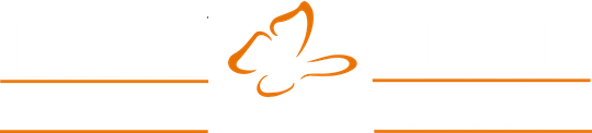 A drawing of a butterfly on a white background.