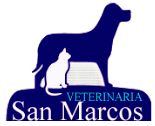 veterinaria san marcos