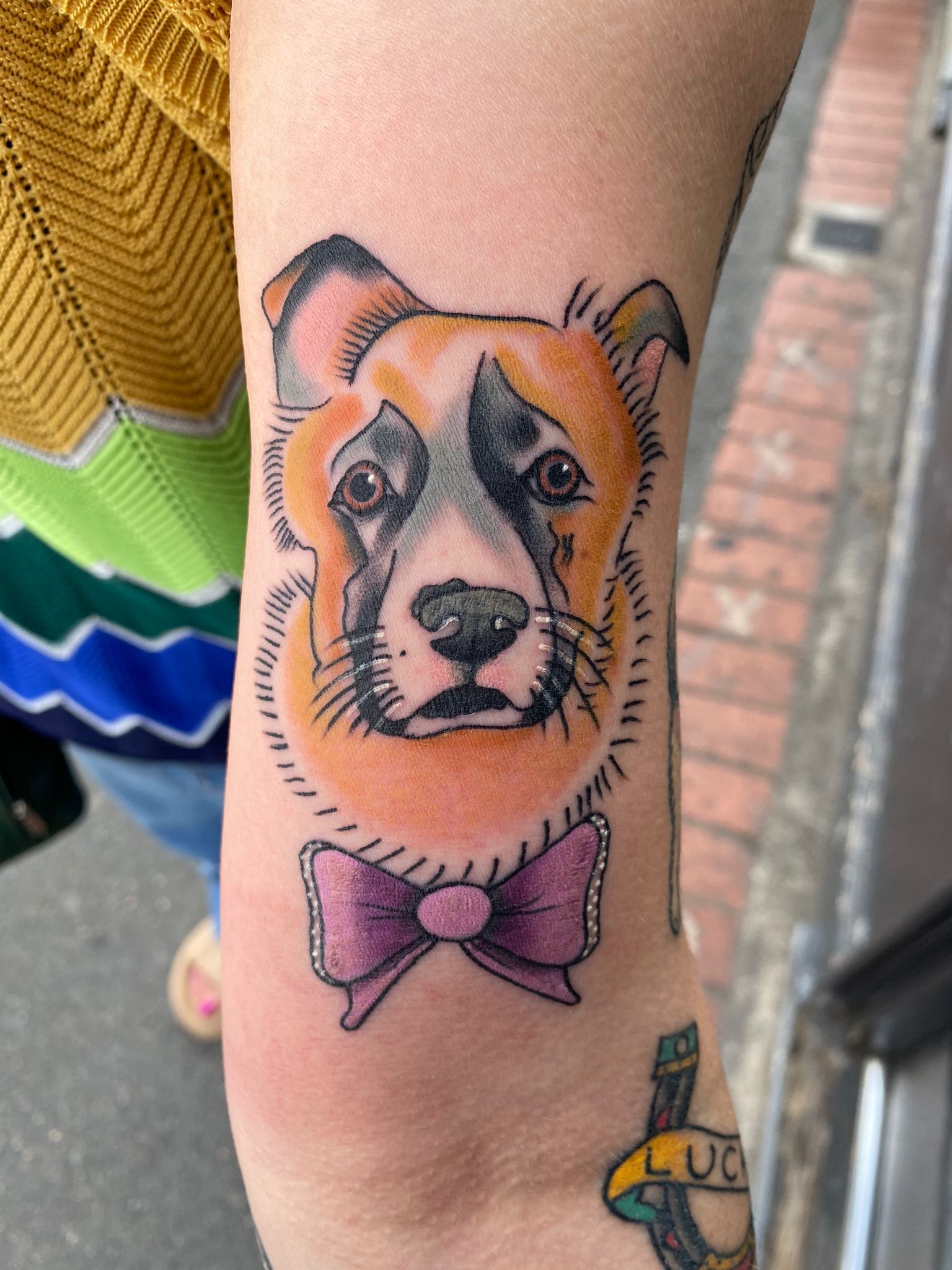 A person has a tattoo of a dog wearing a bow tie on their arm.