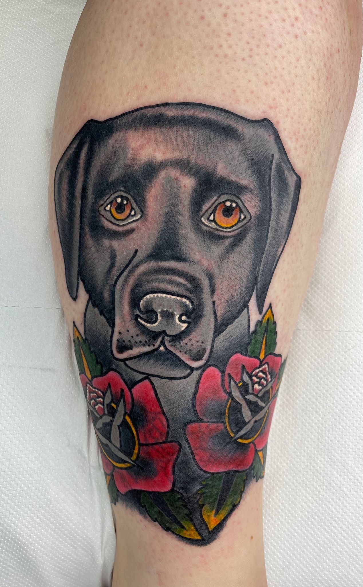 A person has a tattoo of a black dog with red roses on their leg.